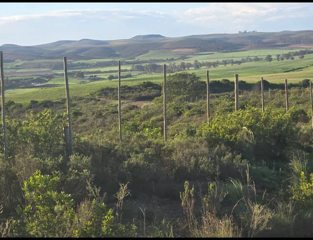 539HA FARM FOR SALE IN RIVERSDALE RURAL